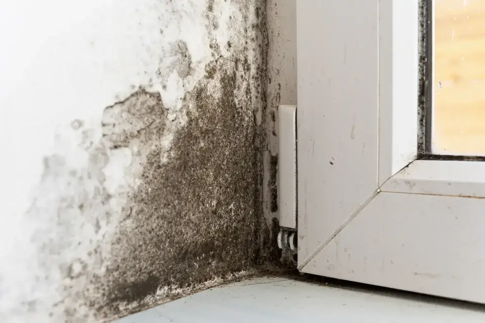 About Total Flood Restoration — South Jordan, UT